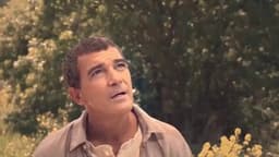 La pubblicità in italiano? image preview