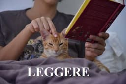 Спряжение глаголов в настоящем времени (Presente indicativo) image preview