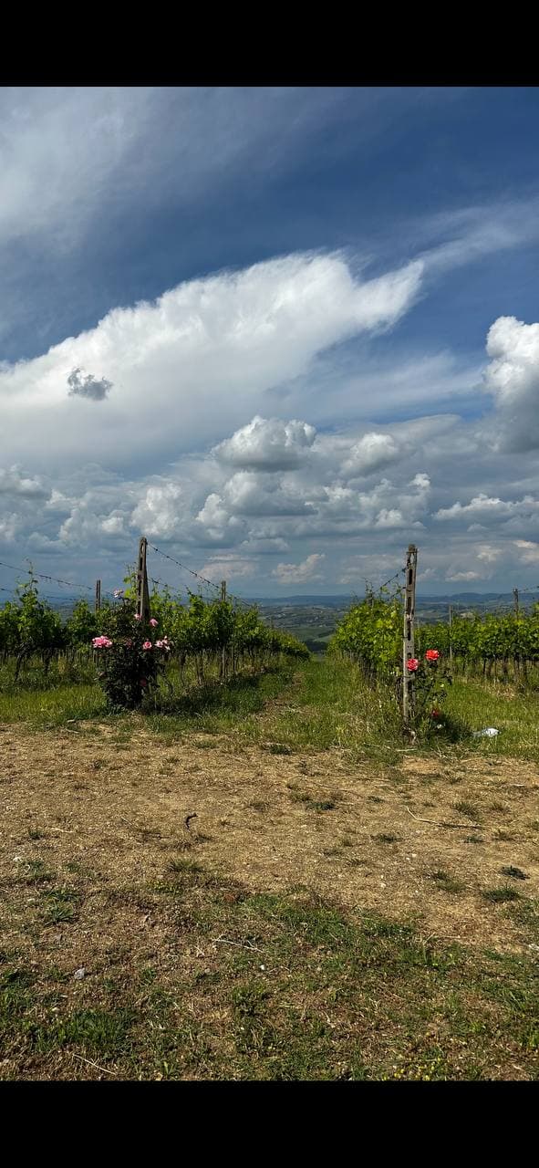 Фотография поста