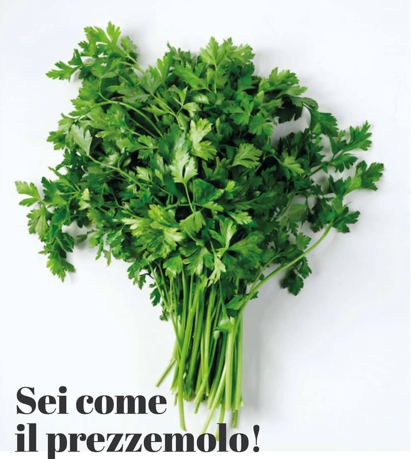 Фотография поста