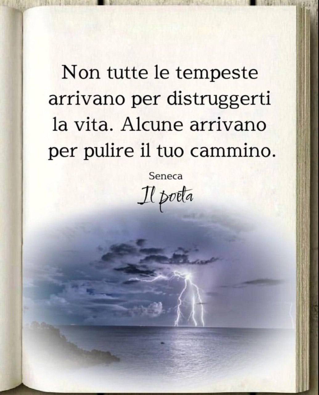 Перевод итальянской фразы на русский image preview