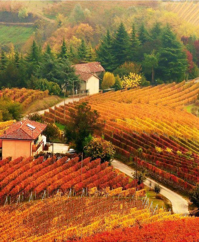 Siamo in ottobre image preview