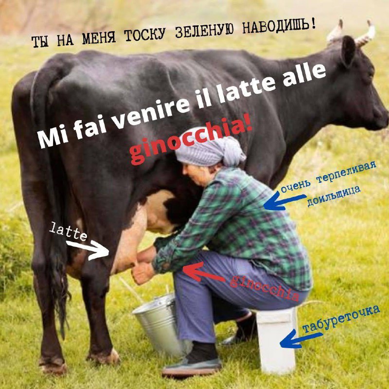 Этот фильм на меня тоску зеленую наводит image preview