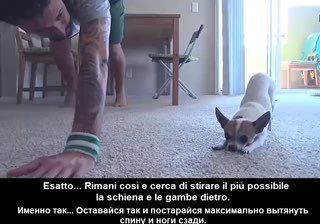 Bravo, Pancino! 😀❤️ image preview