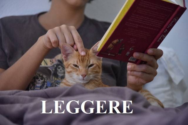 Спряжение глаголов в Presente indicativo image preview