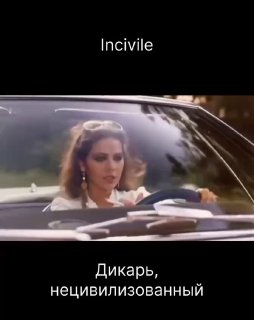 Шпаргалка Орнеллы Мутти: как реагировать обиду image preview