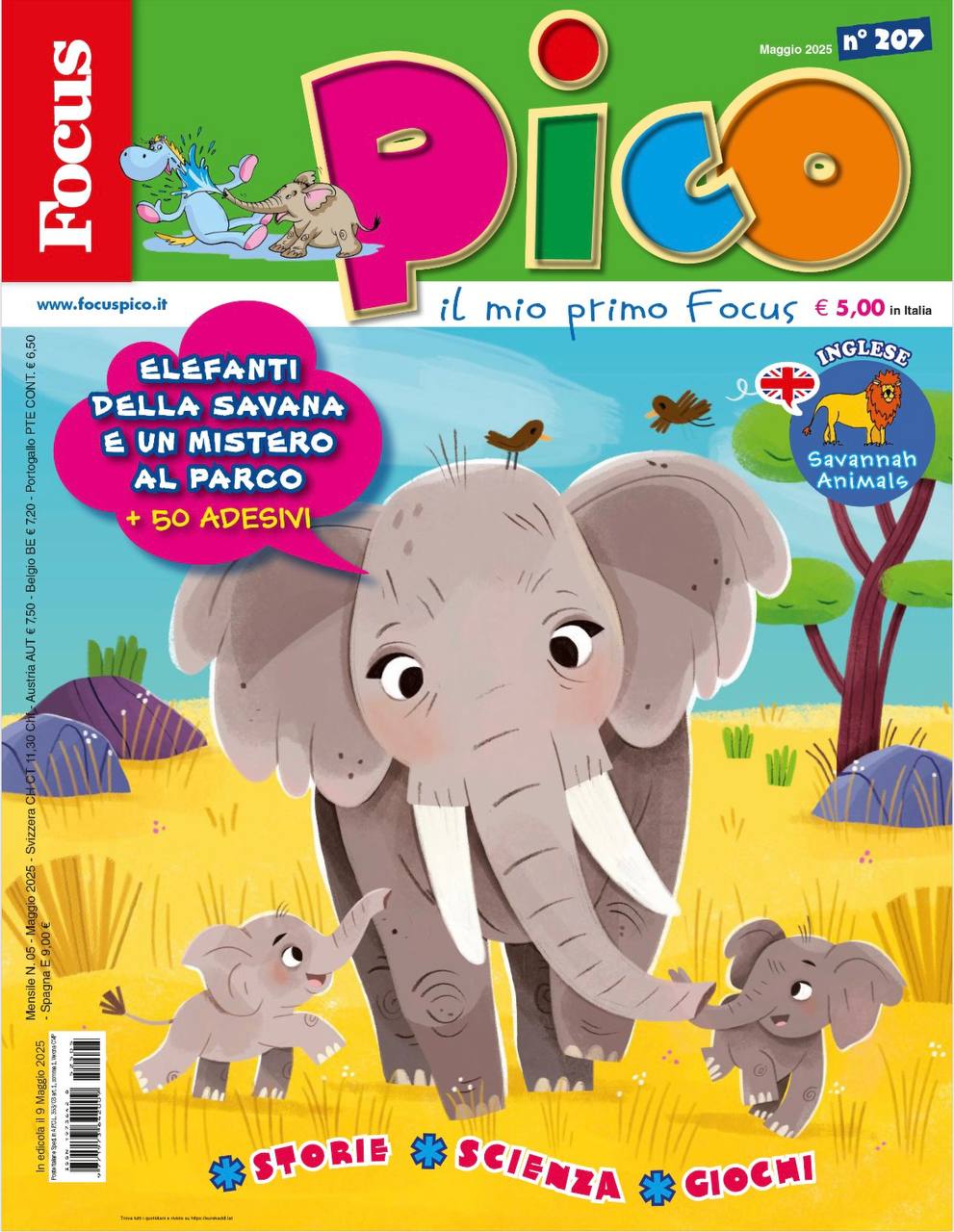 Il biblioteca domenicale 📚 image preview