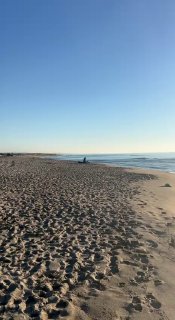 Всем привет из Чечины 🌊🌊🌊☀️ image preview