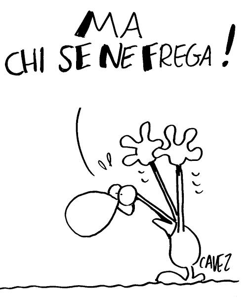 Fregarsene di qcs/qcn - один из самых... image preview